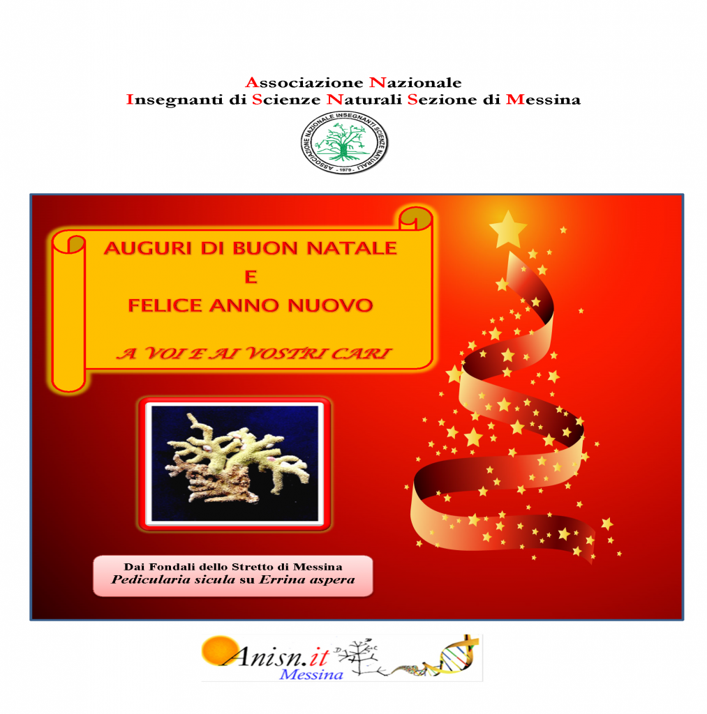 Auguri di Buone Feste