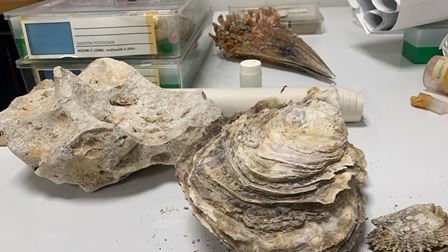 00c8e117-9d13-4ba7-a661-d2e94faee889