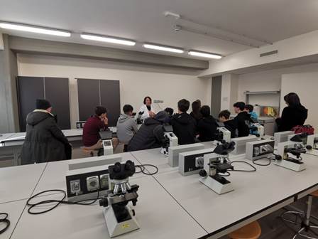 087dae8e-9c84-4e1a-8bdd-dc97c547e6f7