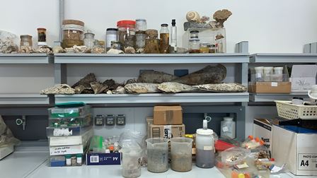 0e339fc4-b9ca-46bd-b6cc-2d9fe24beac5