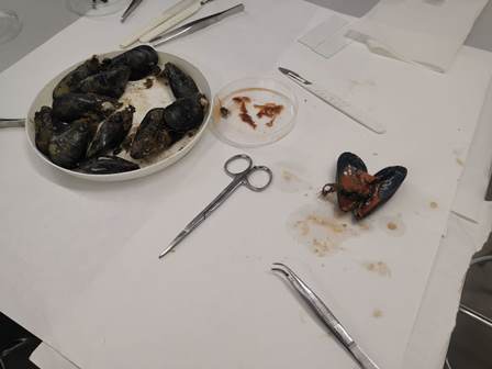 0ee725cd-e8dc-438e-bbbb-5ed98d4c095c