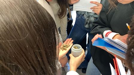 4c748477-d16b-4567-aaf3-ab36bac550a2