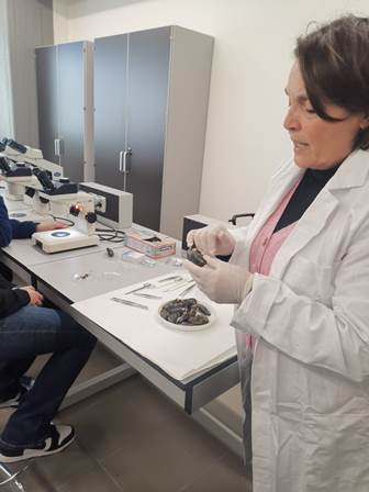 55355230-4d17-4085-b19f-0f1130c9bb40