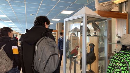 5c42f02c-0665-4c85-a648-4b8a01e41c44