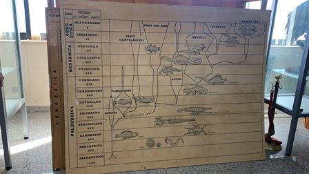 82c842b1-27fe-4e0e-af35-d66206dad9f1