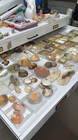 983ab5c2-a4da-4c51-8bce-ff32f2a57fb3