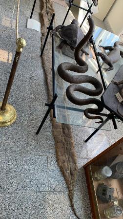 a876ab31-7e51-4bdf-941c-8d2b24d36760