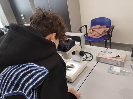 aac8be8c-80fe-49c6-85d1-e911c5fa6bb8