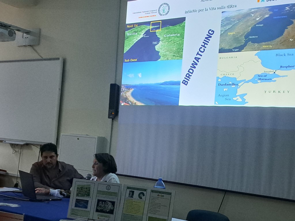 WhatsApp Image 2023-11-08 at 20.38.31