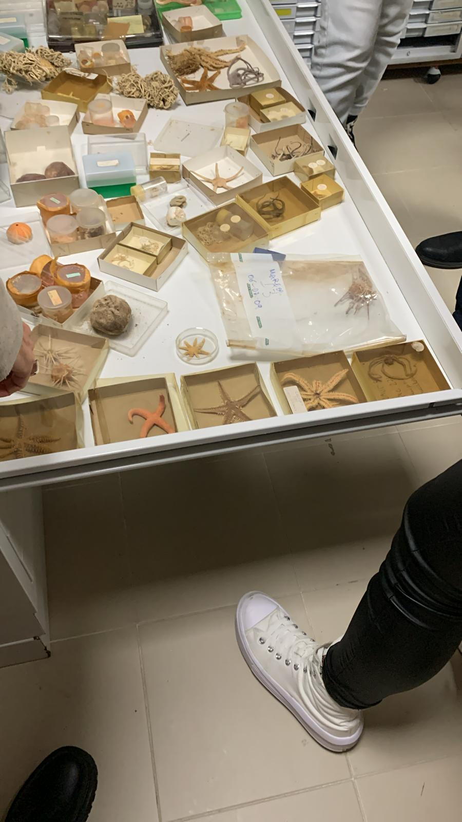 2be7e8be-1879-40ba-85bb-a4ae6d356f08