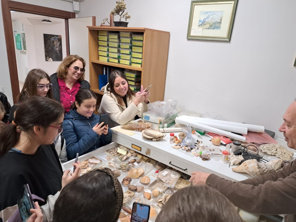 3c1addf6-686b-4373-874c-25d0c46adb54