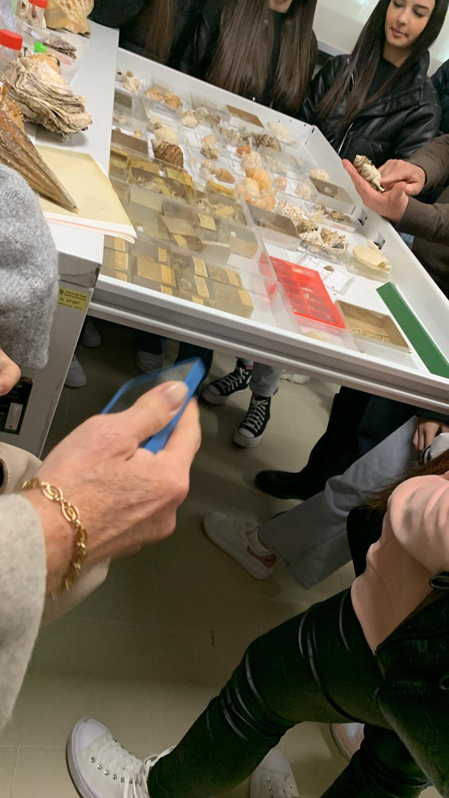 3dfe5009-3ec2-49d6-9474-ee2931e9dcf2