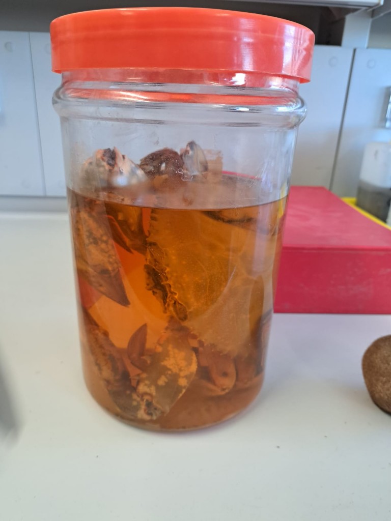 3f2eb120-c2ba-4369-8119-f2bfba5a7664