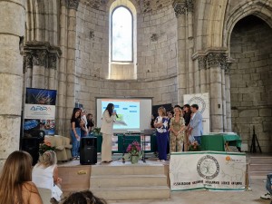 11036f73-a133-4f33-9769-a6df33b78222