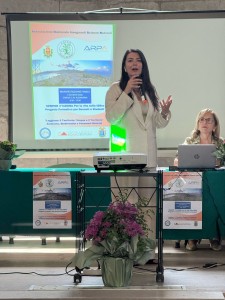 593c3ed8-323c-409c-8251-05e3aa52836b